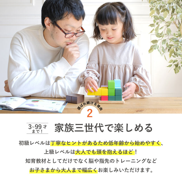 立体パズル 木製 3歳 賢人パズル 802595 エドインター 7ピース 56問 テキストブック付き 脳トレ 子供 大人 木のおもちゃ 誕生日プレゼント