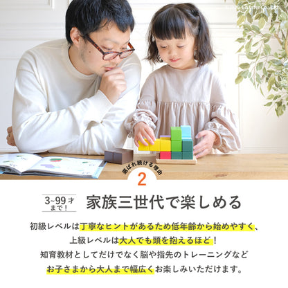 立体パズル 木製 3歳 賢人パズル 802595 エドインター 7ピース 56問 テキストブック付き 脳トレ 子供 大人 木のおもちゃ 誕生日プレゼント