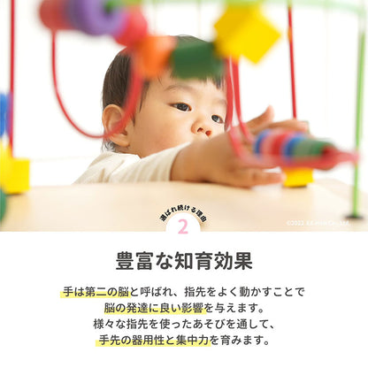 森のあそび箱