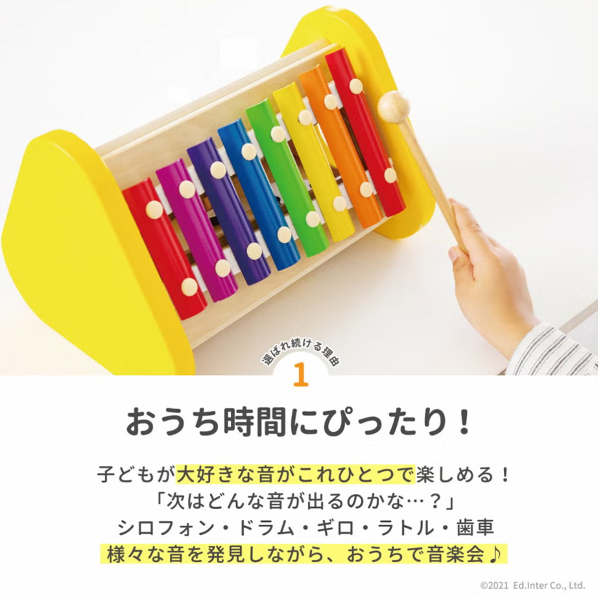 森の音楽会