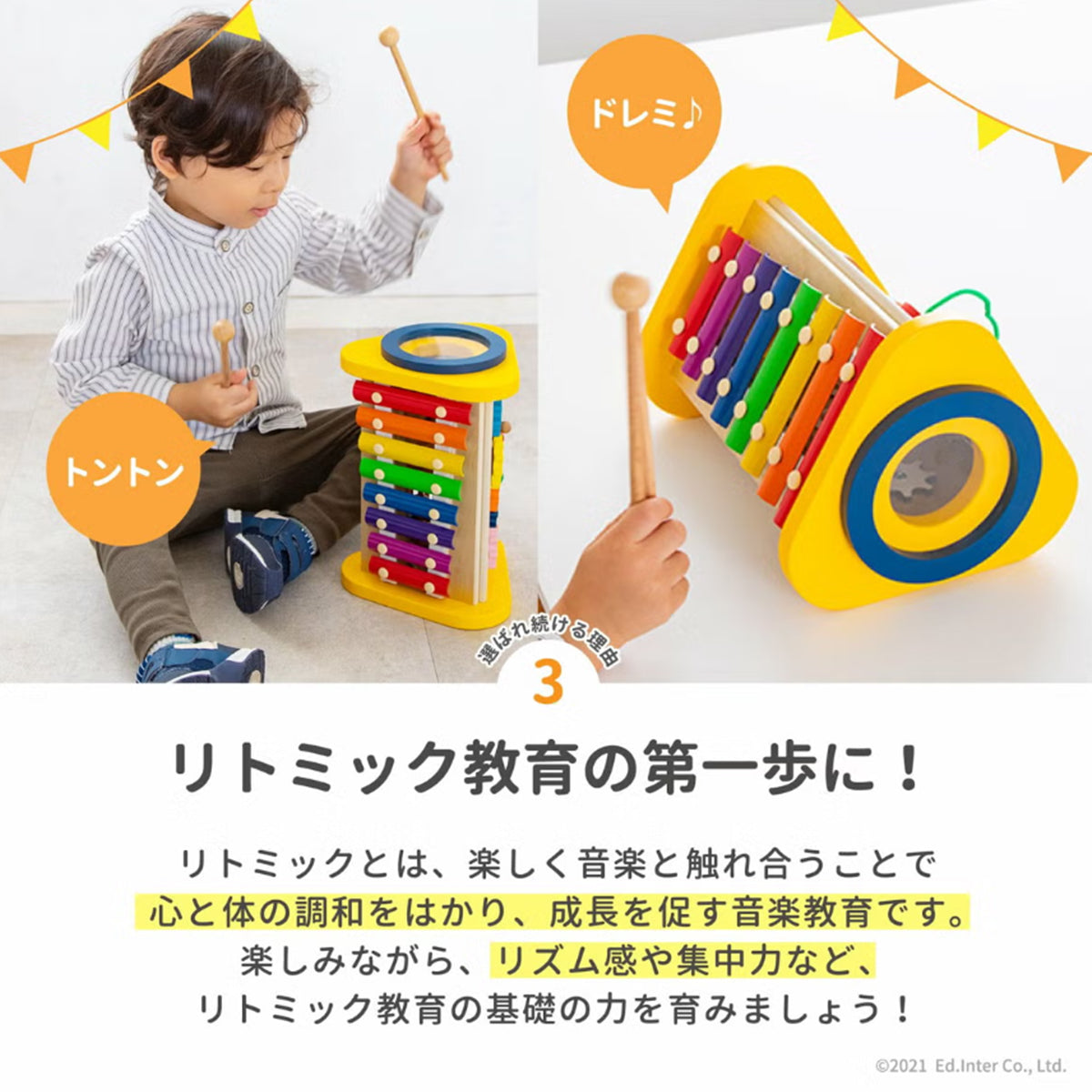 森の音楽会